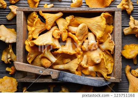 Top view of chanterelle mushrooms in a wooden box 123751168