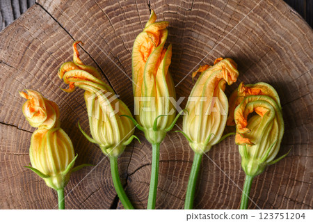 Top view of fresh zucchini flowers on wooden stump close up Top view of fresh zucchini flowers on wooden stump close up 123751204