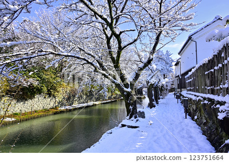 Snow-covered Hachimanbori in Omihachiman 123751664