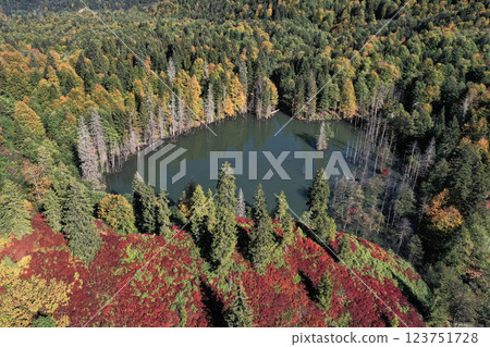 Footage of a forest decorated with autumn colors and their reflections in a lake. Footage of a forest decorated with autumn colors and their reflections in a lake. 123751728