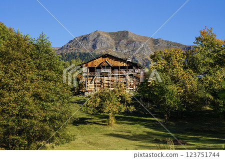 Footage of an old, historical mansion in the forest, among the trees. Footage of an old, historical mansion in the forest, among the trees. 123751744