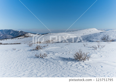 Beautiful winter scenery 123751795