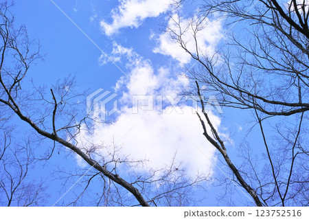 藍色的天空和雲圖像 123752516