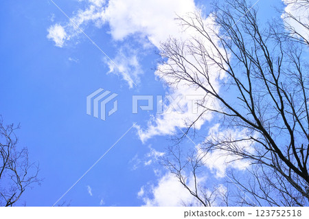 Blue sky and cloud image Blue sky and cloud image 123752518