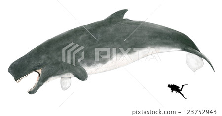 古抹香鯨利維坦‧梅爾維爾：哺乳動物史上擁有最大、最長牙齒的巨型動物 123752943