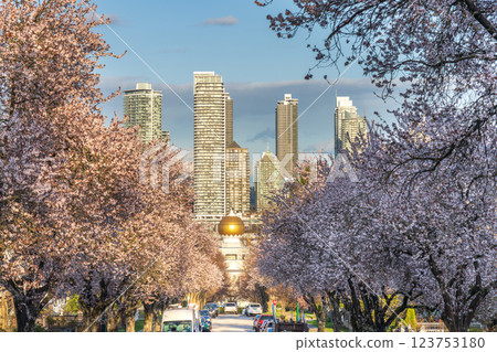 Vancouver city cherry blossom in beautiful full bloom in East 3rd Avenue, Hastings-Sunrise. Akali Singh Sikh Society Temple in the background. BC, Canada. Vancouver city cherry blossom in beautiful full bloom in East 3rd Avenue, Hastings-Sunrise. Akali Singh Sikh Society Temple in the background. BC, Canada. 123753180