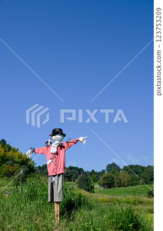 The economic boom of rural Japan, the traditional appearance of scarecrows 123753209