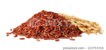 pile of red rice with ears isolated on white background 123753310