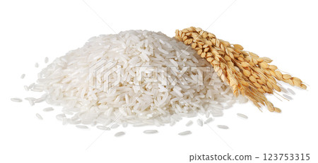 Pile rice with ears isolated on white background 123753315