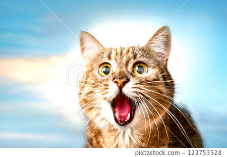 A non-existent cat with its mouth wide open in surprise 123753528