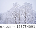 Orofure Pass (winter) 123754091