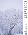 Orofure Pass (winter) 123754093
