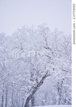 奧羅弗雷山口（冬季） 123754093