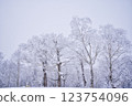 Orofure Pass (winter) 123754096