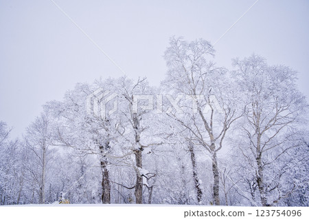 Orofure Pass (winter) 123754096