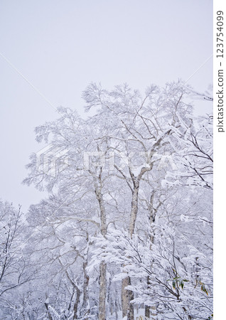 Orofure Pass (winter) 123754099