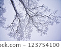 Orofure Pass (winter) 123754100