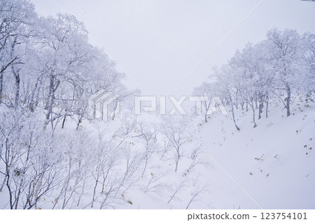 Orofure Pass (winter) 123754101