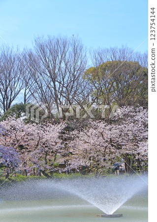 愛知縣名古屋市名城公園大深池與櫻花風景 123754144