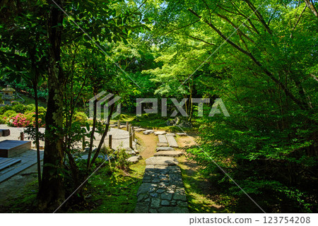 被新綠環繞的金福寺 被新綠環繞的金福寺 123754208