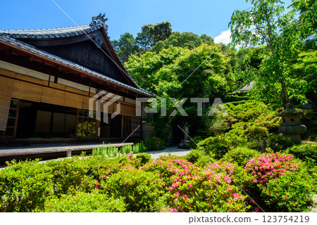 被新綠環繞的金福寺 被新綠環繞的金福寺 123754219