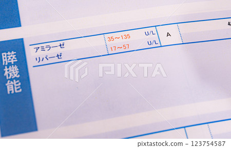 Health checkup results and numerical values: blood pressure, metabolic rate, blood, good and bad cholesterol, gamma GTP, etc. 123754587