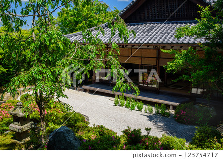 被新綠環繞的金福寺 123754717