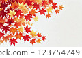 Autumn leaves 123754749