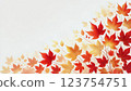 Autumn leaves 123754751