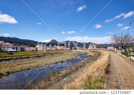 Spring cherry blossoms and the riverside happiness trail: a scenic walking course in Ashigara Spring cherry blossoms and the riverside happiness trail: a scenic walking course in Ashigara 123754887