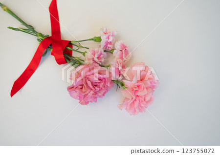 Red ribbon and carnation 123755072