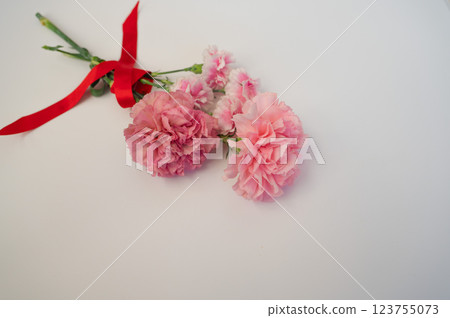Red ribbon and carnation 123755073