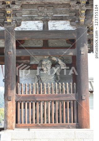 Nio of Ninnaji Temple 123755184