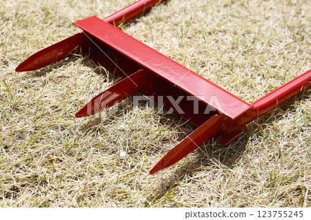 草坪邊緣護理的形象 草坪邊緣護理的形象 123755245