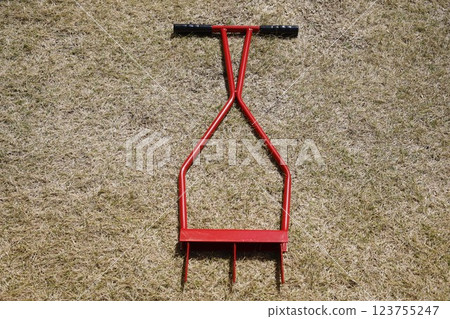 Image of lawn edge maintenance 123755247