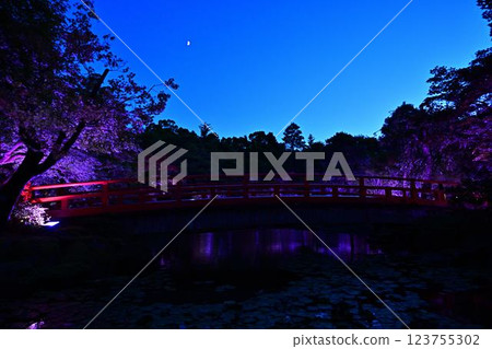 Illumination of Yushien 123755302
