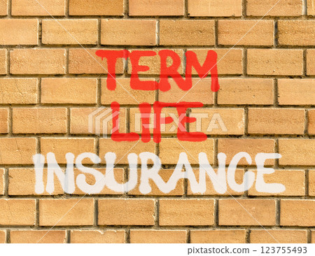 Term life insurance symbol. Concept words Term life insurance on beautiful brown brick wall. Beautiful brown brick wall background. Business term life insurance concept. Copy space. 123755493