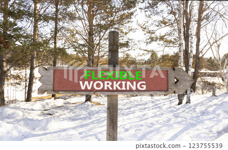 Flexible working symbol. Concept words Flexible working on beautiful wooden road sign. Beautiful winter forest snow tree background. Business flexible working concept. Copy space. Flexible working symbol. Concept words Flexible working on beautiful wooden road sign. Beautiful winter forest snow tree background. Business flexible working concept. Copy space. 123755539