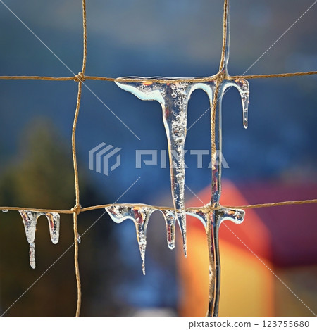 Beautiful icicles on the net. Concept for winter time, water and nature. Abstract background. 123755680