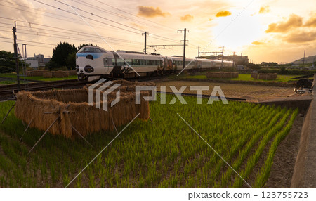 Kuroshio the Panda runs through the autumn countryside Kuroshio the Panda runs through the autumn countryside 123755723