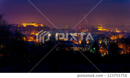 Brno city in the Czech Republic. Europe. Petrov - Cathedral of Saints Peter and Paul and Spilberk castle. Beautiful old architecture and a popular tourist destination. Photography of the city 123755758