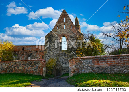 The Rosa Coeli monastery. Ancient catholic ruin of women monastery near Dolni Kounice - Czech Republic. 123755760