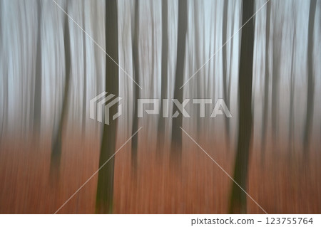 Trees in the forest with fog. Blurred - photographed with movement as art. Concept for landscape with winter nature. Cold weather with fog in winter time. Trees in the forest with fog. Blurred - photographed with movement as art. Concept for landscape with winter nature. Cold weather with fog in winter time. 123755764