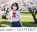Sakura and school girls 123755827