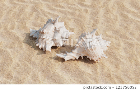Sea Shells on the Beach with Sand. 3D Rendering Sea Shells on the Beach with Sand. 3D Rendering 123756052