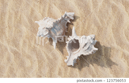 Sea Shells on the Beach with Sand. 3D Rendering 123756053