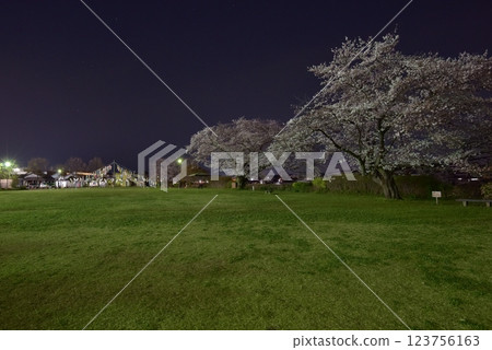 Iruma City Cultural Creation Atelier Amigo, a calm spring night, with a grassy square and cherry blossoms in full bloom Iruma City Cultural Creation Atelier Amigo, a calm spring night, with a grassy square and cherry blossoms in full bloom 123756163