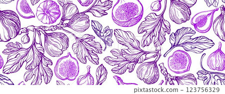 Fig fruits pattern Vector hand drawn fruit Vintage Fig fruits pattern Vector hand drawn fruit Vintage 123756329