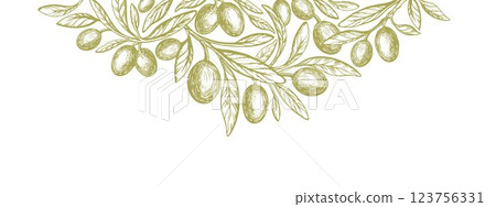 Olive template. Vector hand drawn tree, oil fruit 123756331