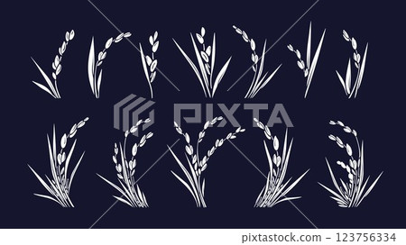 Rice plant, white grain. Vector silhouette set 123756334